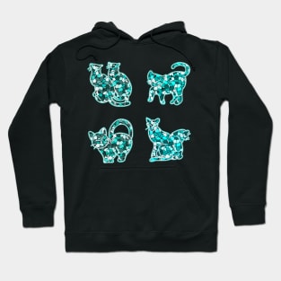 Crystal Group Cat (turquoise) Hoodie